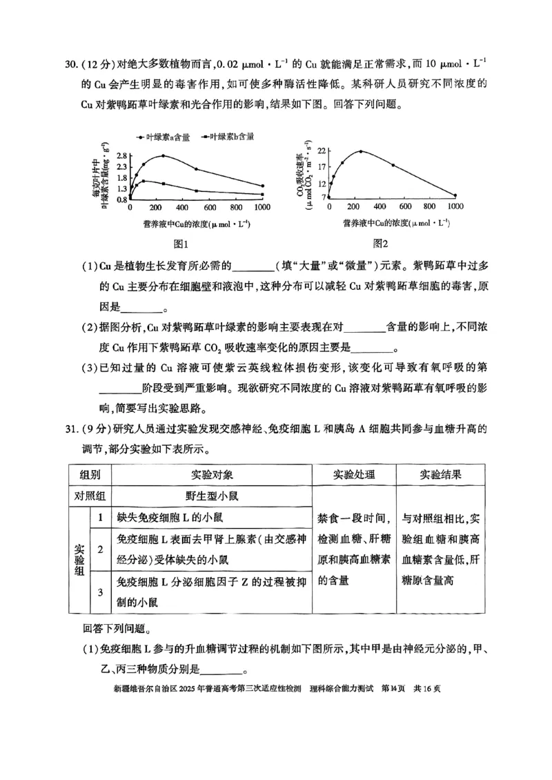 理综_2025年4月_2504092025届新疆维吾尔自治区高三下学期第三次适应性检测（全科）_2025届新疆维吾尔自治区高三下学期第三次适应性检测理综