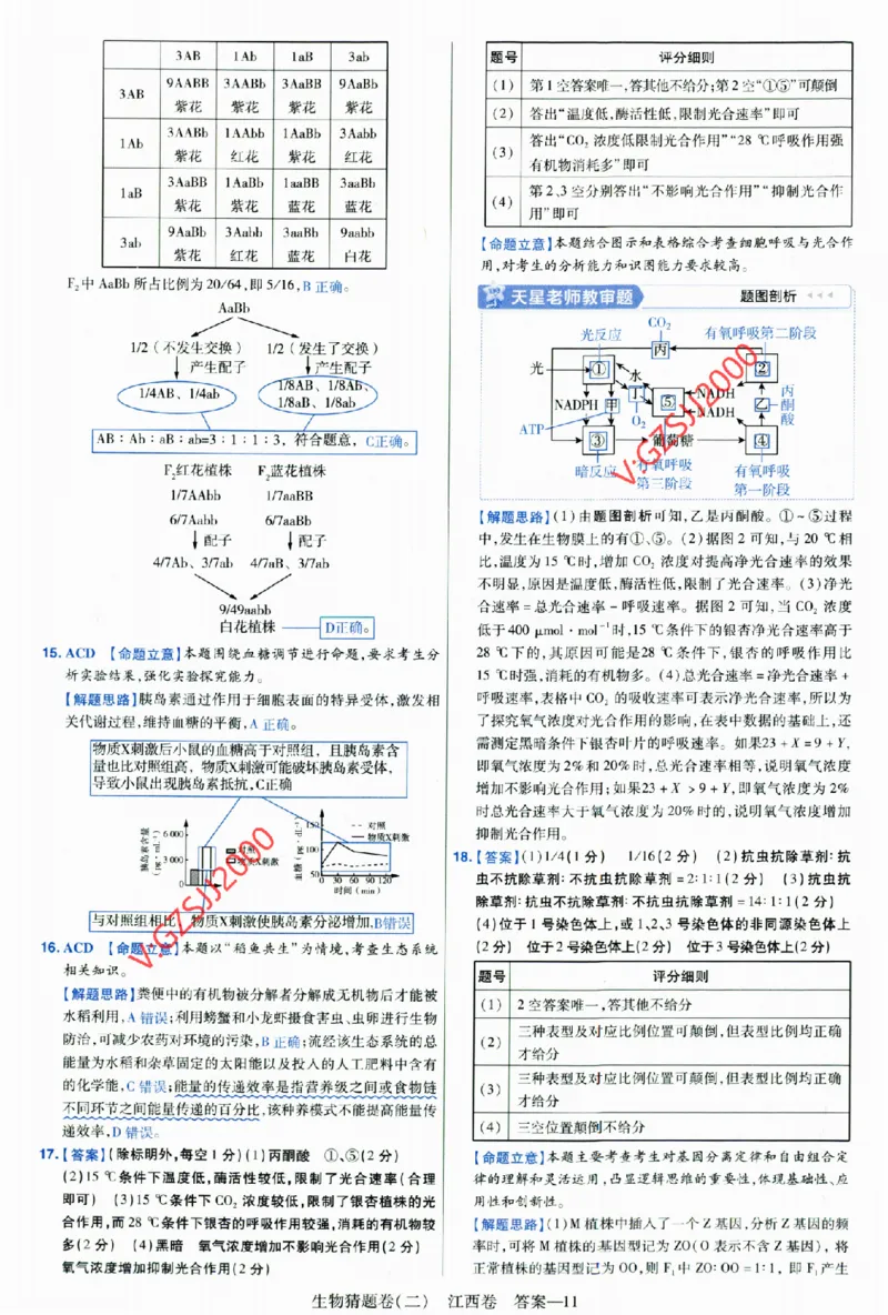2024《金考卷&middot;高考测评卷》生物答案__2024高考押题卷_12024天星全系列_（新高考）2024《金K卷&middot;高考测评&middot;猜题卷》（语数英）各九套_2024《金考卷&middot;高考测评卷&middot;猜题卷》生物