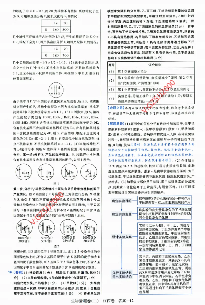 2024《金考卷&middot;高考测评卷》生物答案__2024高考押题卷_12024天星全系列_（新高考）2024《金K卷&middot;高考测评&middot;猜题卷》（语数英）各九套_2024《金考卷&middot;高考测评卷&middot;猜题卷》生物