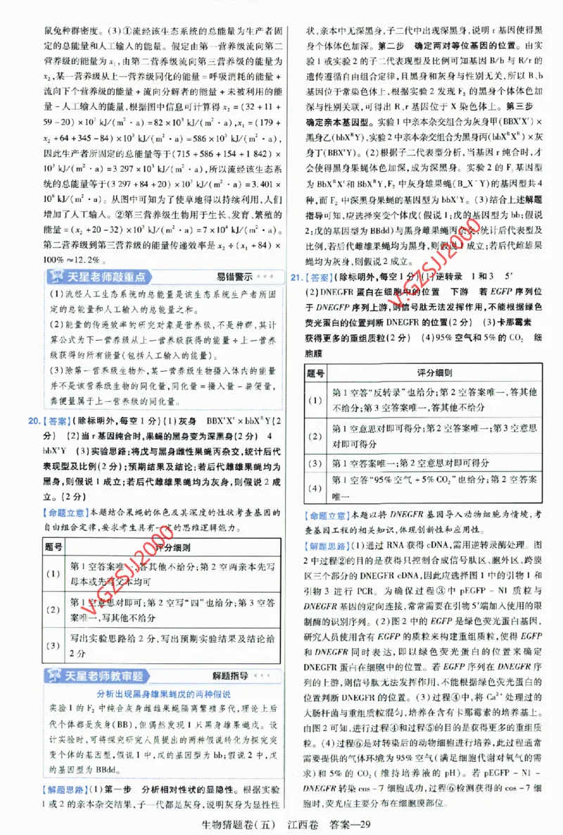 2024《金考卷&middot;高考测评卷》生物答案__2024高考押题卷_12024天星全系列_（新高考）2024《金K卷&middot;高考测评&middot;猜题卷》（语数英）各九套_2024《金考卷&middot;高考测评卷&middot;猜题卷》生物