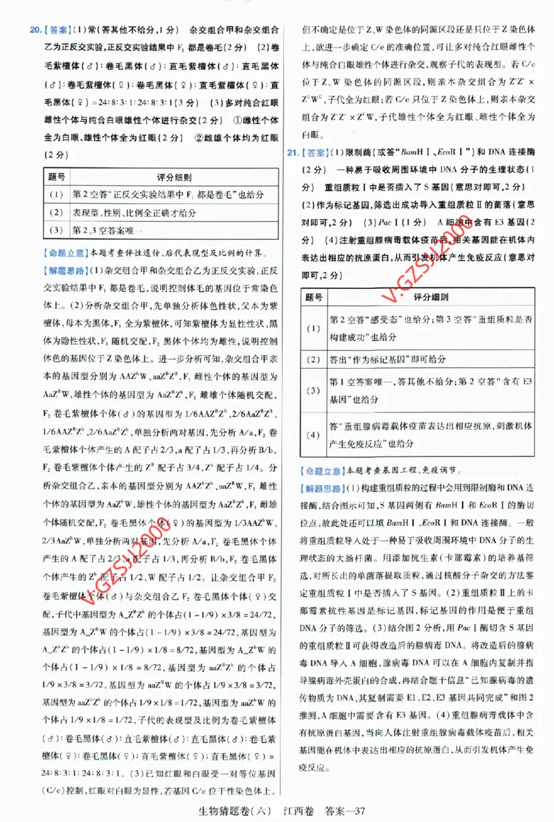 2024《金考卷&middot;高考测评卷》生物答案__2024高考押题卷_12024天星全系列_（新高考）2024《金K卷&middot;高考测评&middot;猜题卷》（语数英）各九套_2024《金考卷&middot;高考测评卷&middot;猜题卷》生物