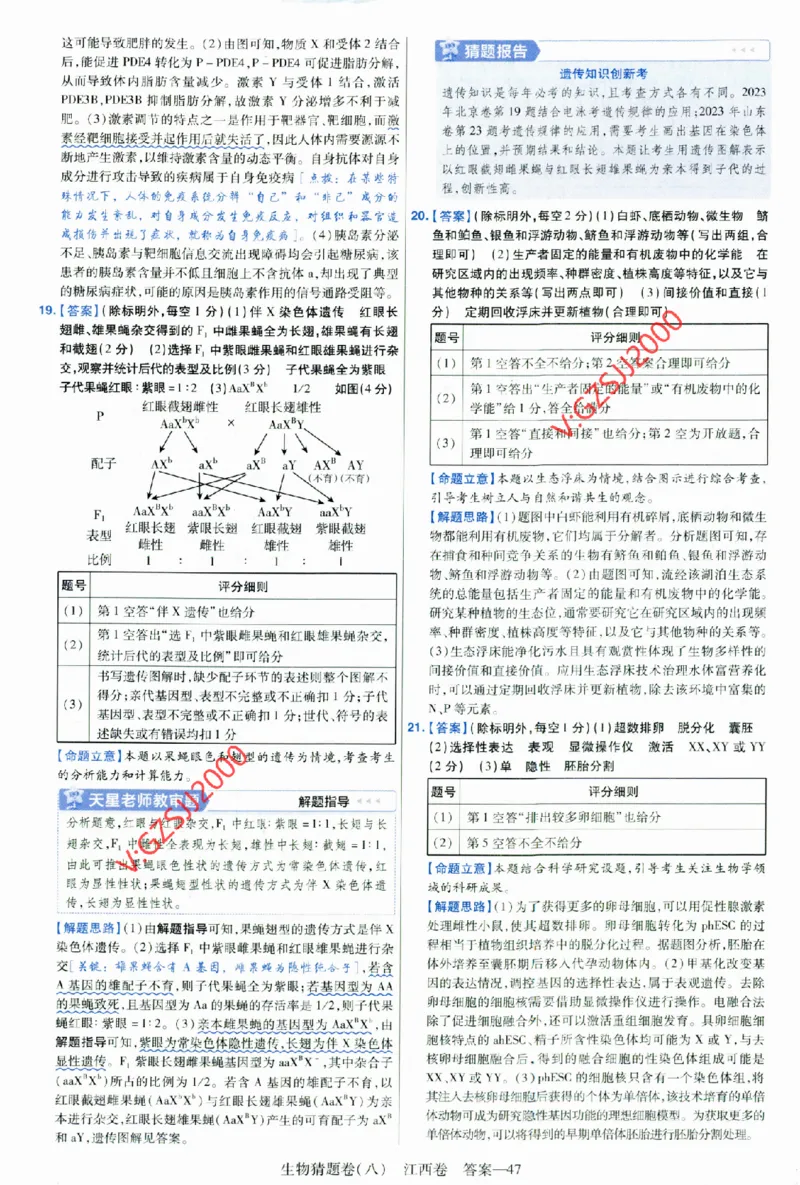 2024《金考卷&middot;高考测评卷》生物答案__2024高考押题卷_12024天星全系列_（新高考）2024《金K卷&middot;高考测评&middot;猜题卷》（语数英）各九套_2024《金考卷&middot;高考测评卷&middot;猜题卷》生物