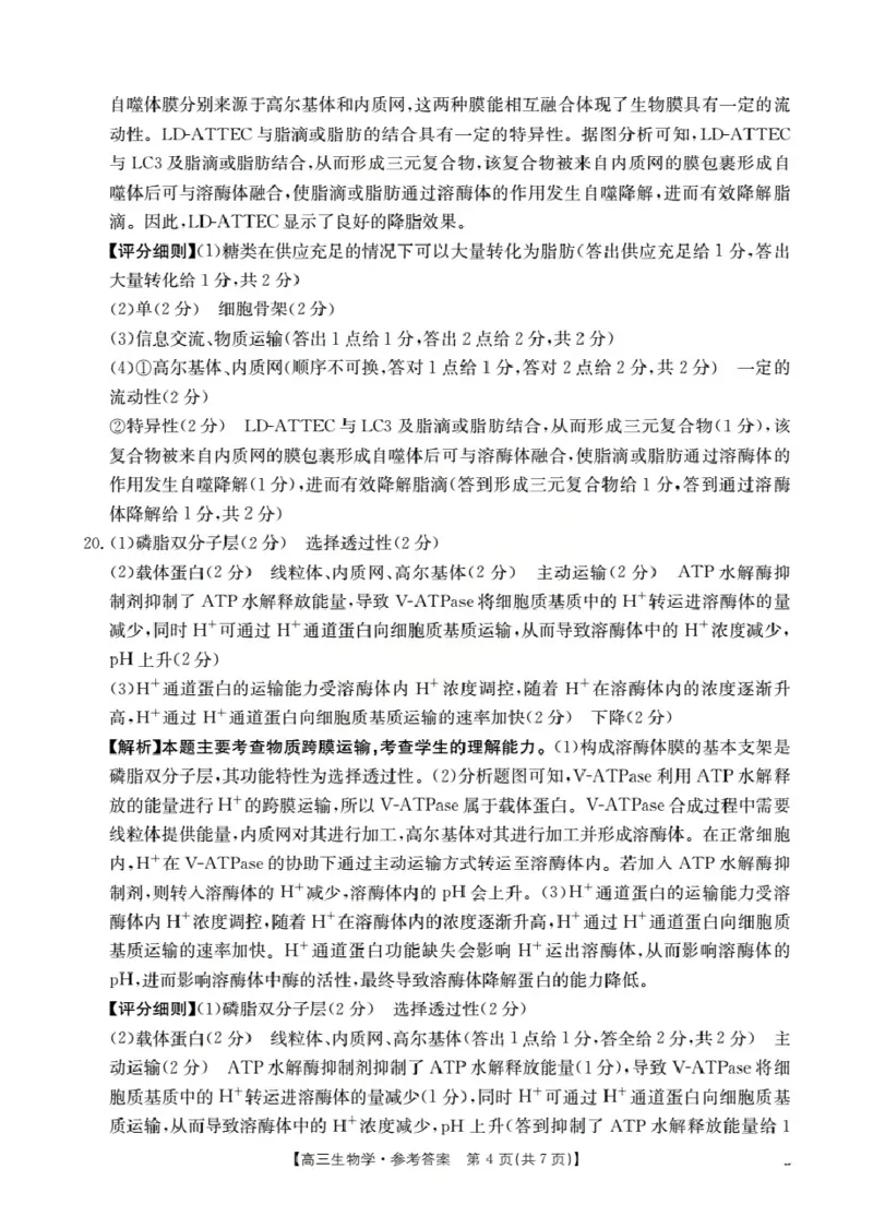 湖北省2026届高三上学期10月联考（26-23C）生物+答案_2025年10月_251022金太阳&middot;湖北省2026届高三上学期10月联考（26-23C）（全科）