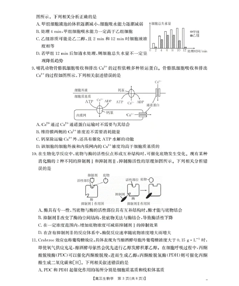 湖北省2026届高三上学期10月联考（26-23C）生物+答案_2025年10月_251022金太阳&middot;湖北省2026届高三上学期10月联考（26-23C）（全科）