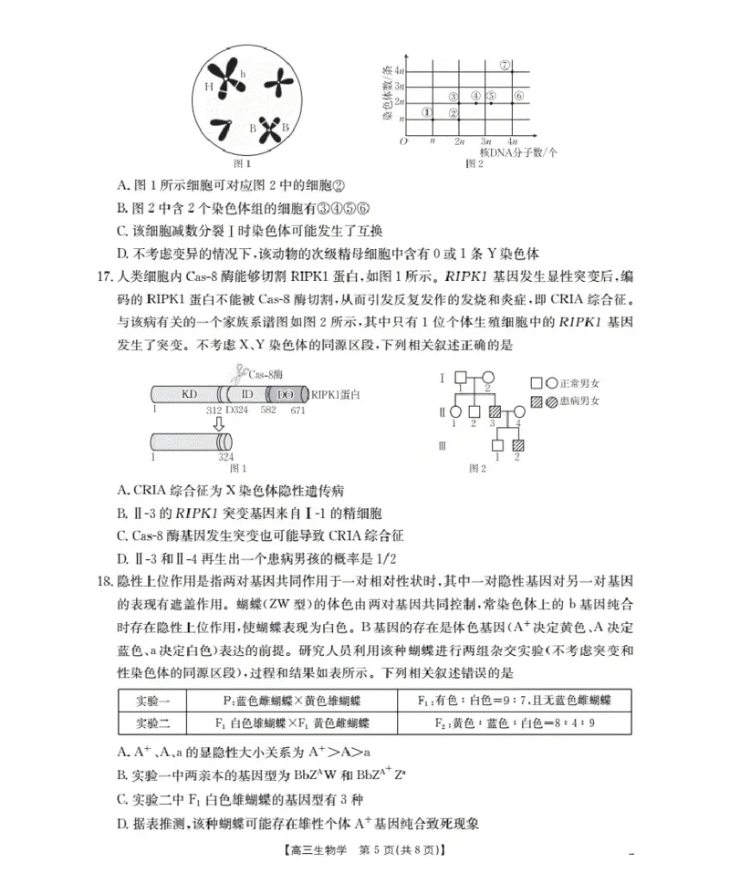 湖北省2026届高三上学期10月联考（26-23C）生物+答案_2025年10月_251022金太阳&middot;湖北省2026届高三上学期10月联考（26-23C）（全科）