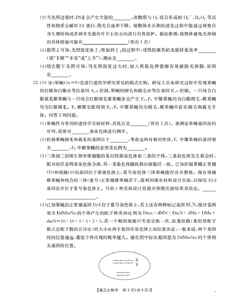 湖北省2026届高三上学期10月联考（26-23C）生物+答案_2025年10月_251022金太阳&middot;湖北省2026届高三上学期10月联考（26-23C）（全科）