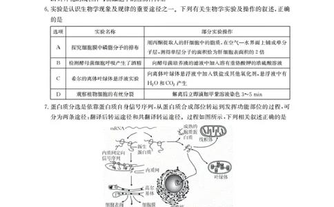 湖北省2026届高三上学期10月联考（26-23C）生物+答案_2025年10月_251022金太阳&middot;湖北省2026届高三上学期10月联考（26-23C）（全科）
