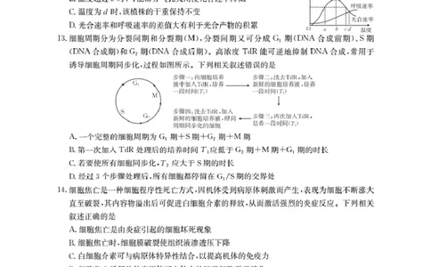 湖北省2026届高三上学期10月联考（26-23C）生物+答案_2025年10月_251022金太阳&middot;湖北省2026届高三上学期10月联考（26-23C）（全科）