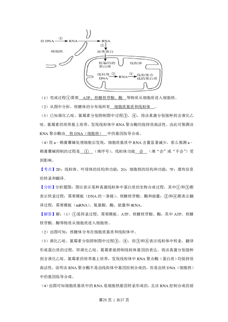 2009年高考生物试卷（江苏）（解析卷）_生物历年高考真题_新&middot;PDF版2008-2025&middot;高考生物真题_生物（按省份分类）2008-2025_2008-2025&middot;（江苏）生物高考真题