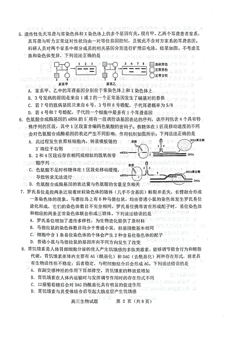 生物试题_2025年3月_250305山东省烟台市、德州市、东营市2025年3月高三高考诊断性测试（一模）（全科）_2025年山东烟台、德州、东营高考诊断性测试（一模）生物