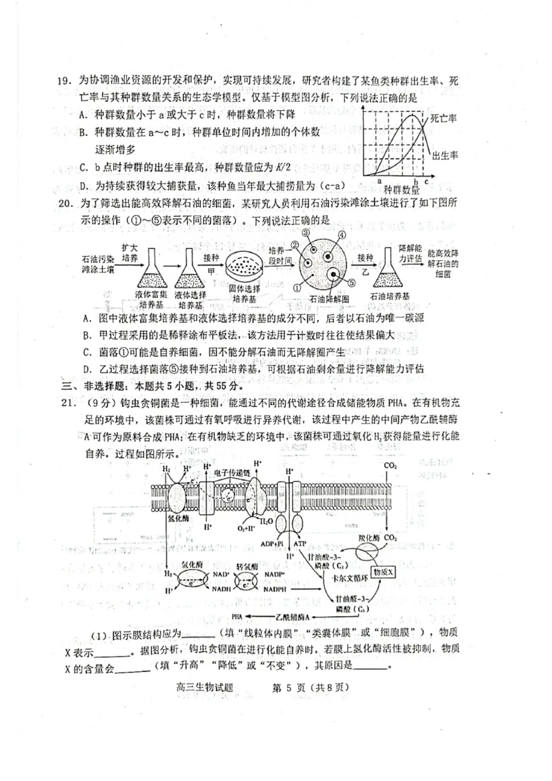 生物试题_2025年3月_250305山东省烟台市、德州市、东营市2025年3月高三高考诊断性测试（一模）（全科）_2025年山东烟台、德州、东营高考诊断性测试（一模）生物