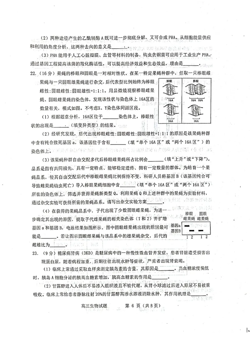 生物试题_2025年3月_250305山东省烟台市、德州市、东营市2025年3月高三高考诊断性测试（一模）（全科）_2025年山东烟台、德州、东营高考诊断性测试（一模）生物
