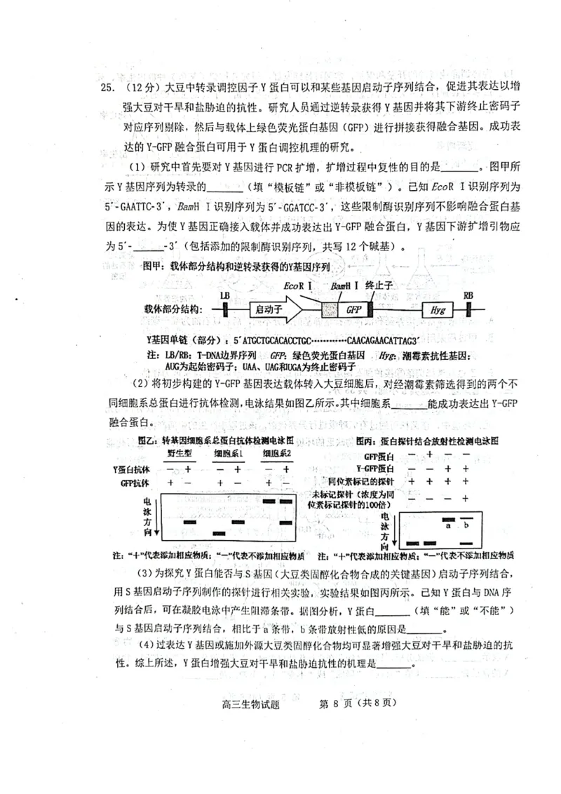 生物试题_2025年3月_250305山东省烟台市、德州市、东营市2025年3月高三高考诊断性测试（一模）（全科）_2025年山东烟台、德州、东营高考诊断性测试（一模）生物