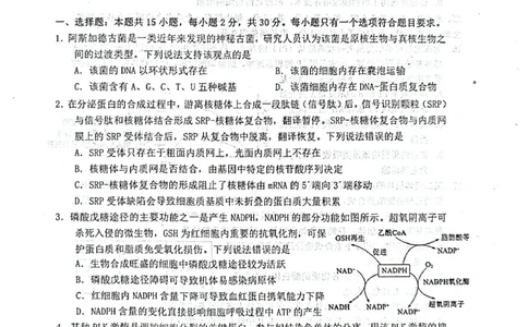 生物试题_2025年3月_250305山东省烟台市、德州市、东营市2025年3月高三高考诊断性测试（一模）（全科）_2025年山东烟台、德州、东营高考诊断性测试（一模）生物