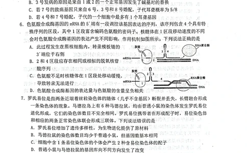 生物试题_2025年3月_250305山东省烟台市、德州市、东营市2025年3月高三高考诊断性测试（一模）（全科）_2025年山东烟台、德州、东营高考诊断性测试（一模）生物