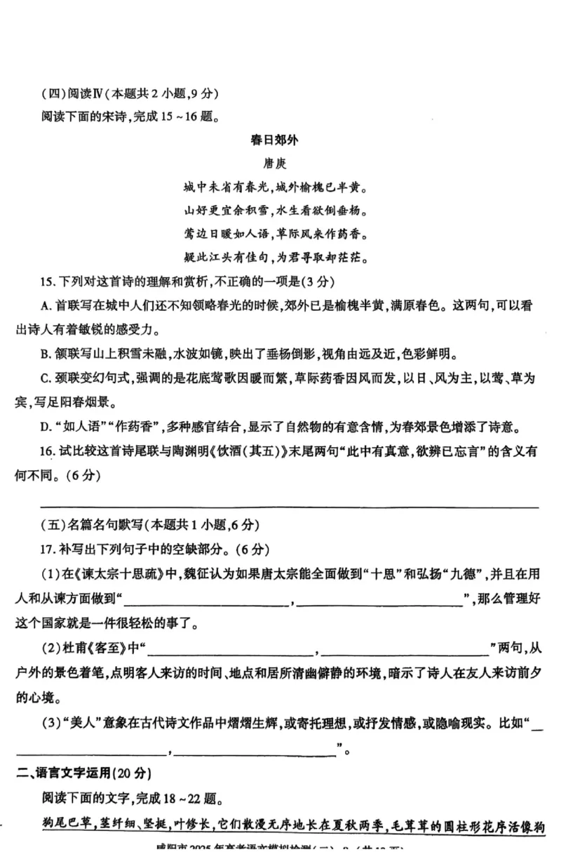 陕西省咸阳市2025届高三第二次模拟-语文_2025年3月_250330陕西省咸阳市2025届高三第二次模拟（全科）_陕西省咸阳市2025届高三下学期高考模拟检测(二)语文