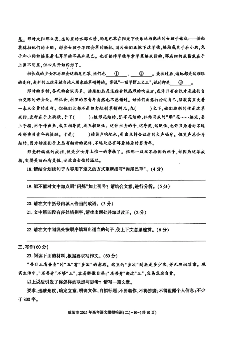 陕西省咸阳市2025届高三第二次模拟-语文_2025年3月_250330陕西省咸阳市2025届高三第二次模拟（全科）_陕西省咸阳市2025届高三下学期高考模拟检测(二)语文