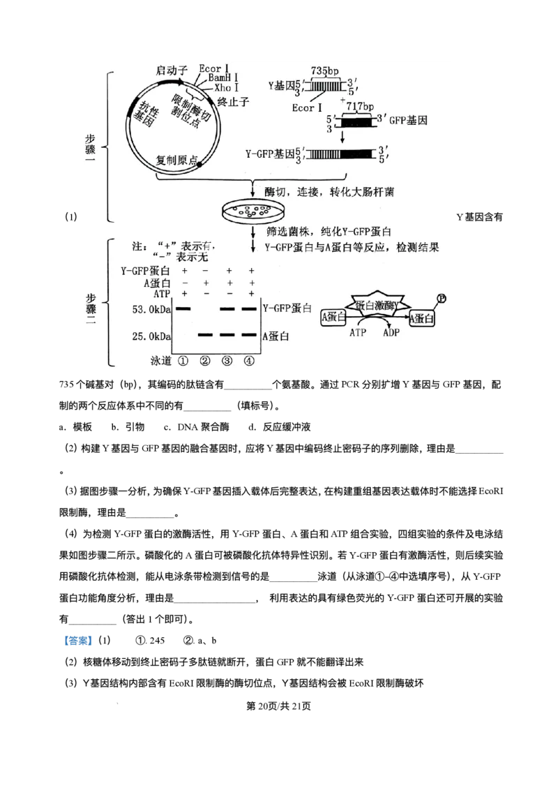 精品解析-2025年1月四川省普通高等学校招生考试适应性测试（八省联考）生物试题_2025年1月_❤2025年高考综合改革适应性演练（八省联考）(1)