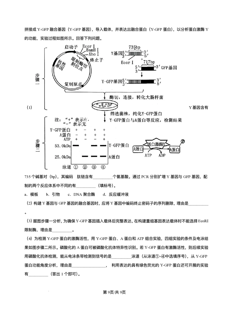 精品解析-2025年1月四川省普通高等学校招生考试适应性测试（八省联考）生物试题_2025年1月_❤2025年高考综合改革适应性演练（八省联考）(1)