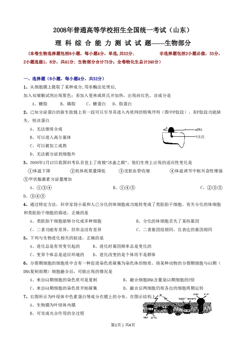 2008年高考生物试卷（山东）（空白卷）_生物历年高考真题_新&middot;PDF版2008-2025&middot;高考生物真题_生物（按年份分类）2008-2025_2008&middot;高考生物真题