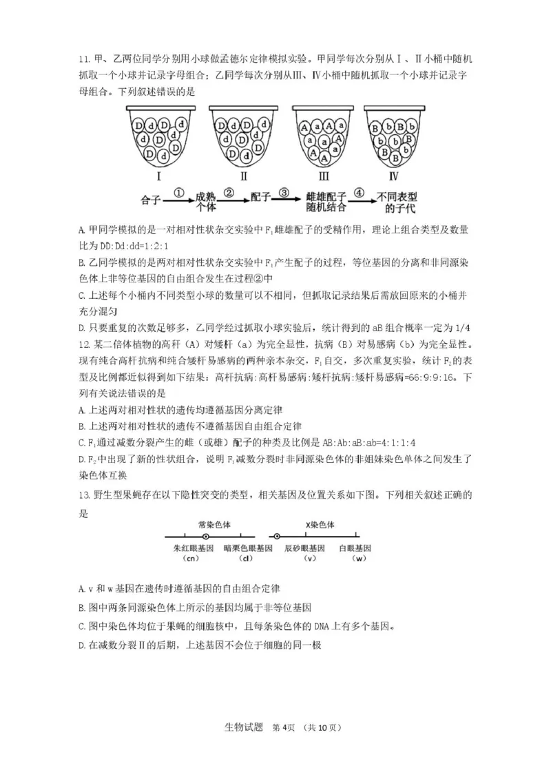 山东省济南市山东师范大学附属中学2025-2026学年高三上学期10月阶段性检测生物试题（含答案）_2025年10月_12026年试卷教辅资源等多个文件
