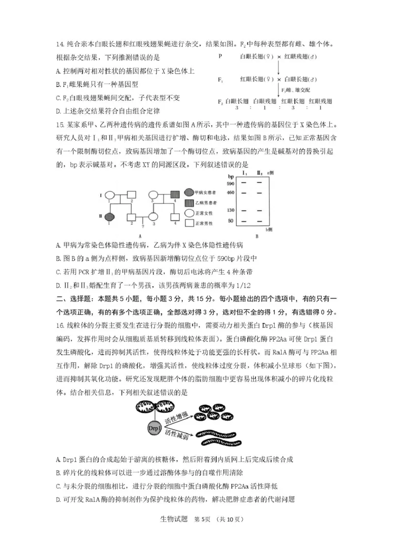 山东省济南市山东师范大学附属中学2025-2026学年高三上学期10月阶段性检测生物试题（含答案）_2025年10月_12026年试卷教辅资源等多个文件
