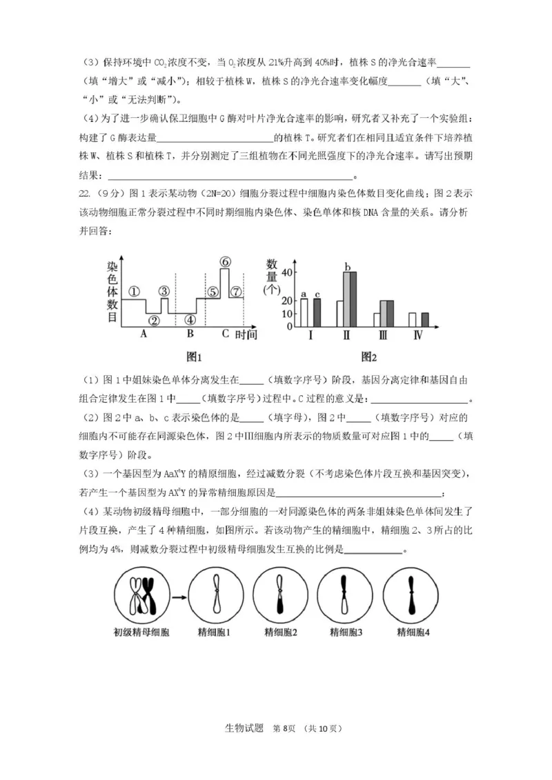 山东省济南市山东师范大学附属中学2025-2026学年高三上学期10月阶段性检测生物试题（含答案）_2025年10月_12026年试卷教辅资源等多个文件