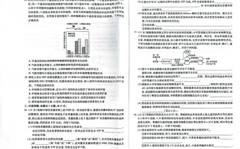 海南省天一大联考2024-2025学年高三学业水平诊断（三）生物_2025年3月_250308海南省天一大联考2024-2025学年高三学业水平诊断(三)（全科）