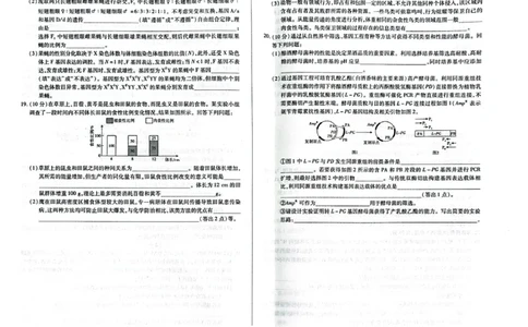 海南省天一大联考2024-2025学年高三学业水平诊断（三）生物_2025年3月_250308海南省天一大联考2024-2025学年高三学业水平诊断(三)（全科）