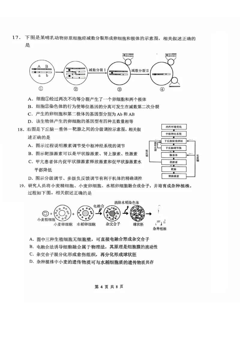 生物试题南通四模2025_2025年5月_250529江苏省南通四模5月高三练习卷（全科）_南通四模5月高三练习卷生物