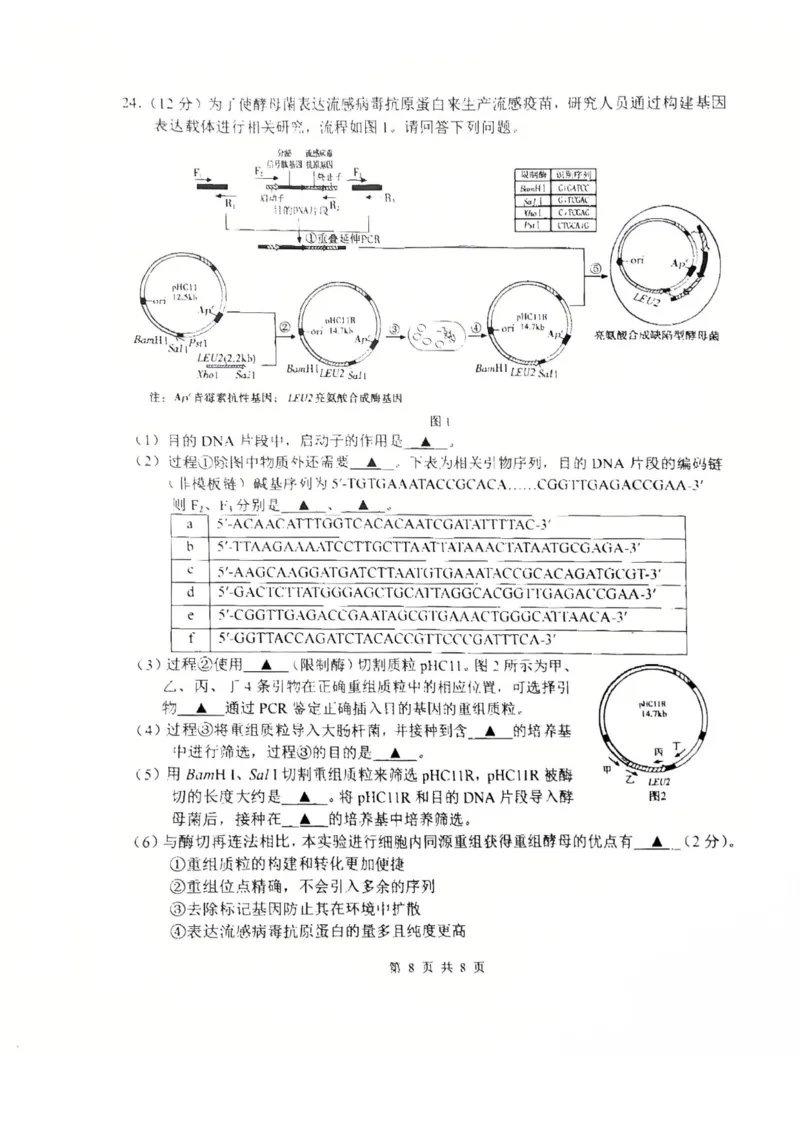 生物试题南通四模2025_2025年5月_250529江苏省南通四模5月高三练习卷（全科）_南通四模5月高三练习卷生物