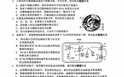 生物试题南通四模2025_2025年5月_250529江苏省南通四模5月高三练习卷（全科）_南通四模5月高三练习卷生物