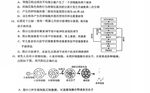 生物试题南通四模2025_2025年5月_250529江苏省南通四模5月高三练习卷（全科）_南通四模5月高三练习卷生物