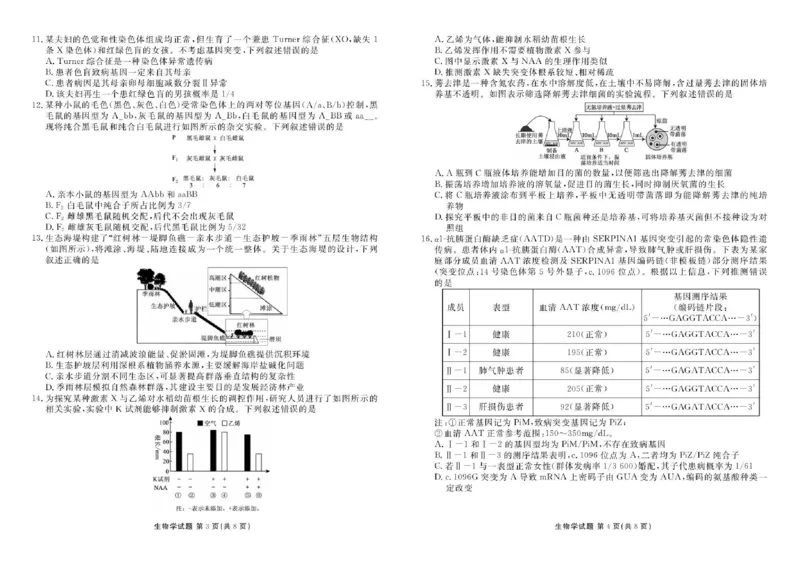 广东省衡水金卷2026届高三8月开学联考生物_2025年8月_250828广东省衡水金卷2026届高三8月开学联考（全科）
