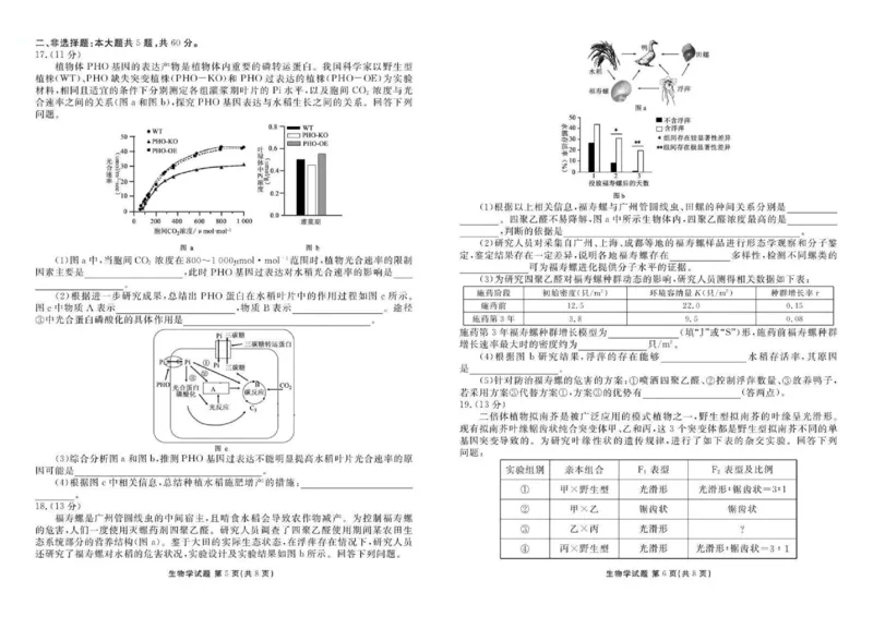 广东省衡水金卷2026届高三8月开学联考生物_2025年8月_250828广东省衡水金卷2026届高三8月开学联考（全科）