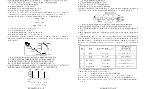 广东省衡水金卷2026届高三8月开学联考生物_2025年8月_250828广东省衡水金卷2026届高三8月开学联考（全科）