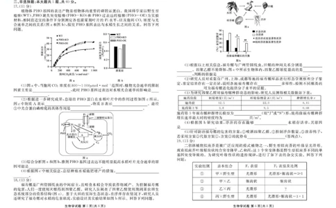 广东省衡水金卷2026届高三8月开学联考生物_2025年8月_250828广东省衡水金卷2026届高三8月开学联考（全科）