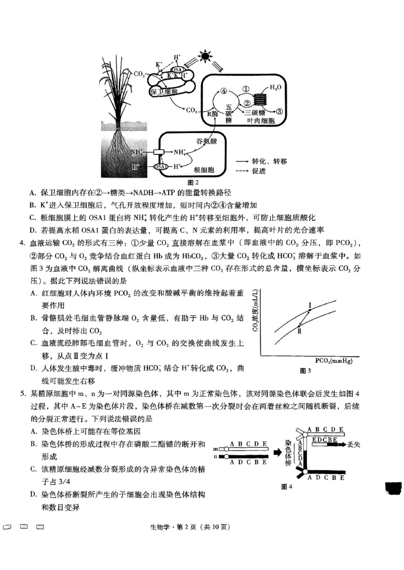 重庆市巴蜀中学高2025届高三3月适应性月考卷（六）生物_2025年3月_250316重庆市巴蜀中学高2025届高三3月适应性月考卷（六）（全科）
