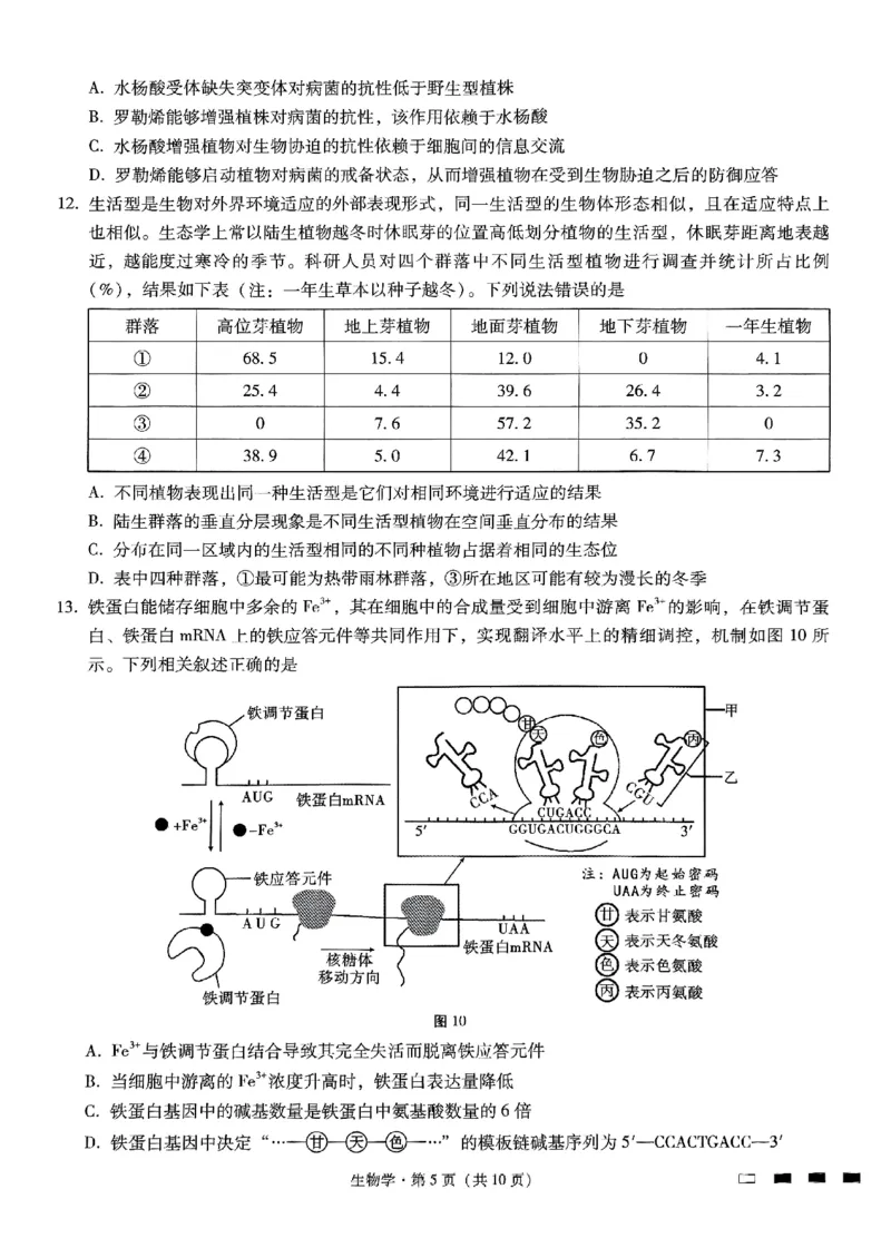 重庆市巴蜀中学高2025届高三3月适应性月考卷（六）生物_2025年3月_250316重庆市巴蜀中学高2025届高三3月适应性月考卷（六）（全科）