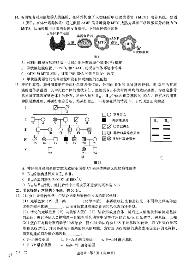 重庆市巴蜀中学高2025届高三3月适应性月考卷（六）生物_2025年3月_250316重庆市巴蜀中学高2025届高三3月适应性月考卷（六）（全科）
