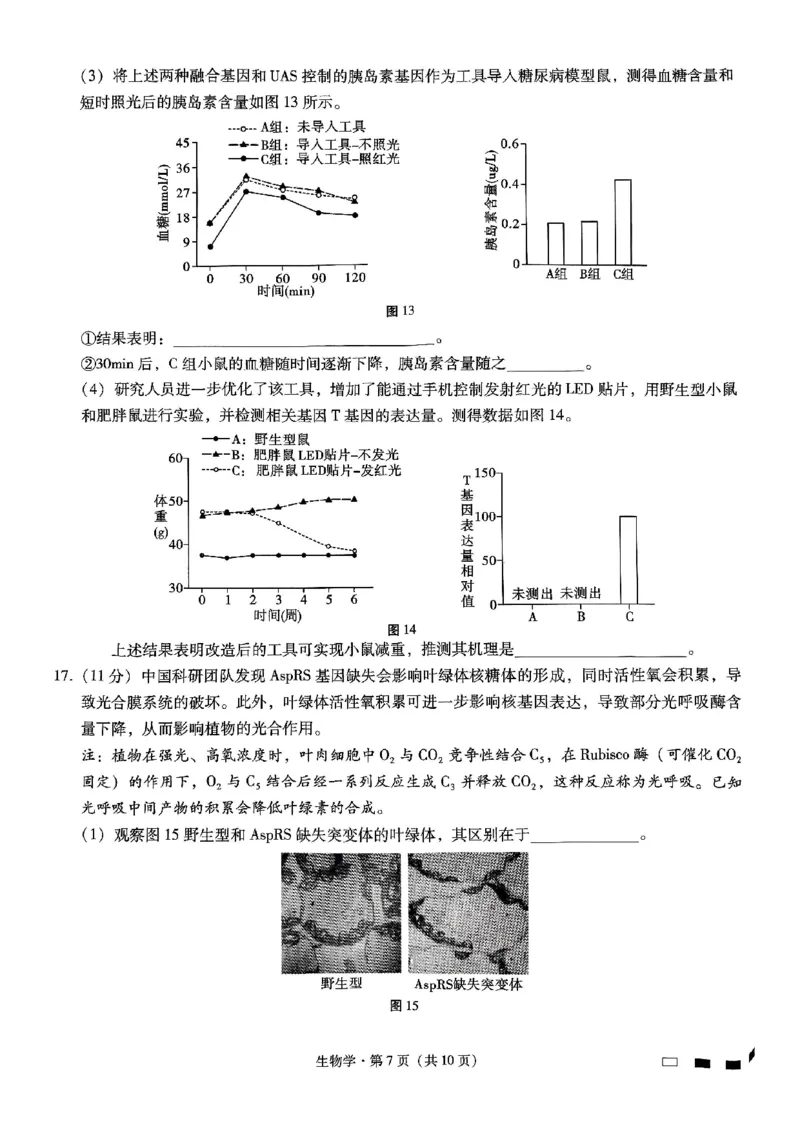 重庆市巴蜀中学高2025届高三3月适应性月考卷（六）生物_2025年3月_250316重庆市巴蜀中学高2025届高三3月适应性月考卷（六）（全科）