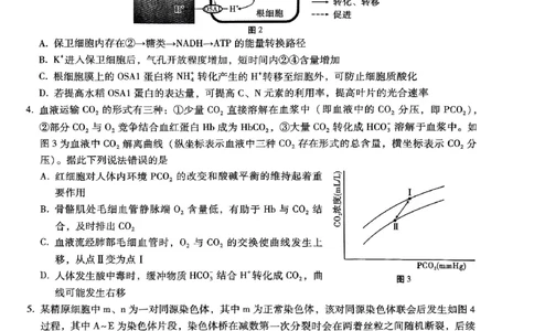 重庆市巴蜀中学高2025届高三3月适应性月考卷（六）生物_2025年3月_250316重庆市巴蜀中学高2025届高三3月适应性月考卷（六）（全科）