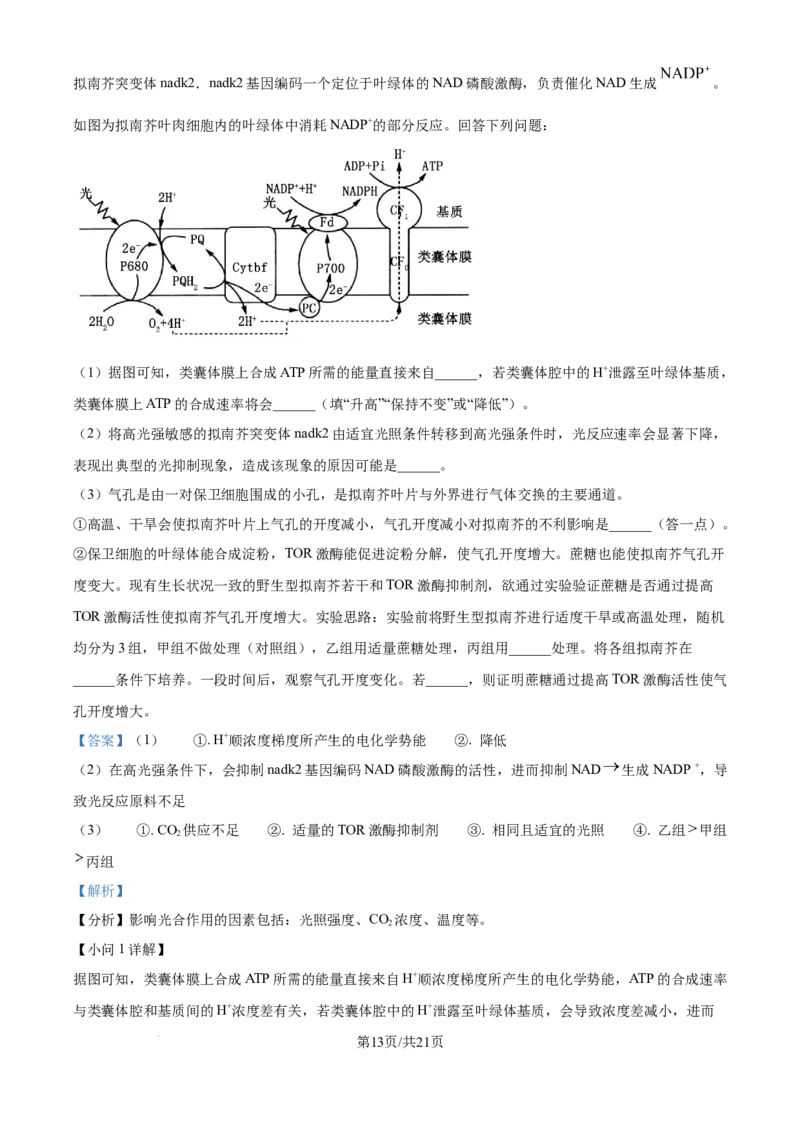 山西省太原市山西大学附属中学校2024-2025学年高三下学期3月月考生物答案_2025年3月_250331山西省太原市山西大学附属中学校2024-2025学年高三下学期3月月考