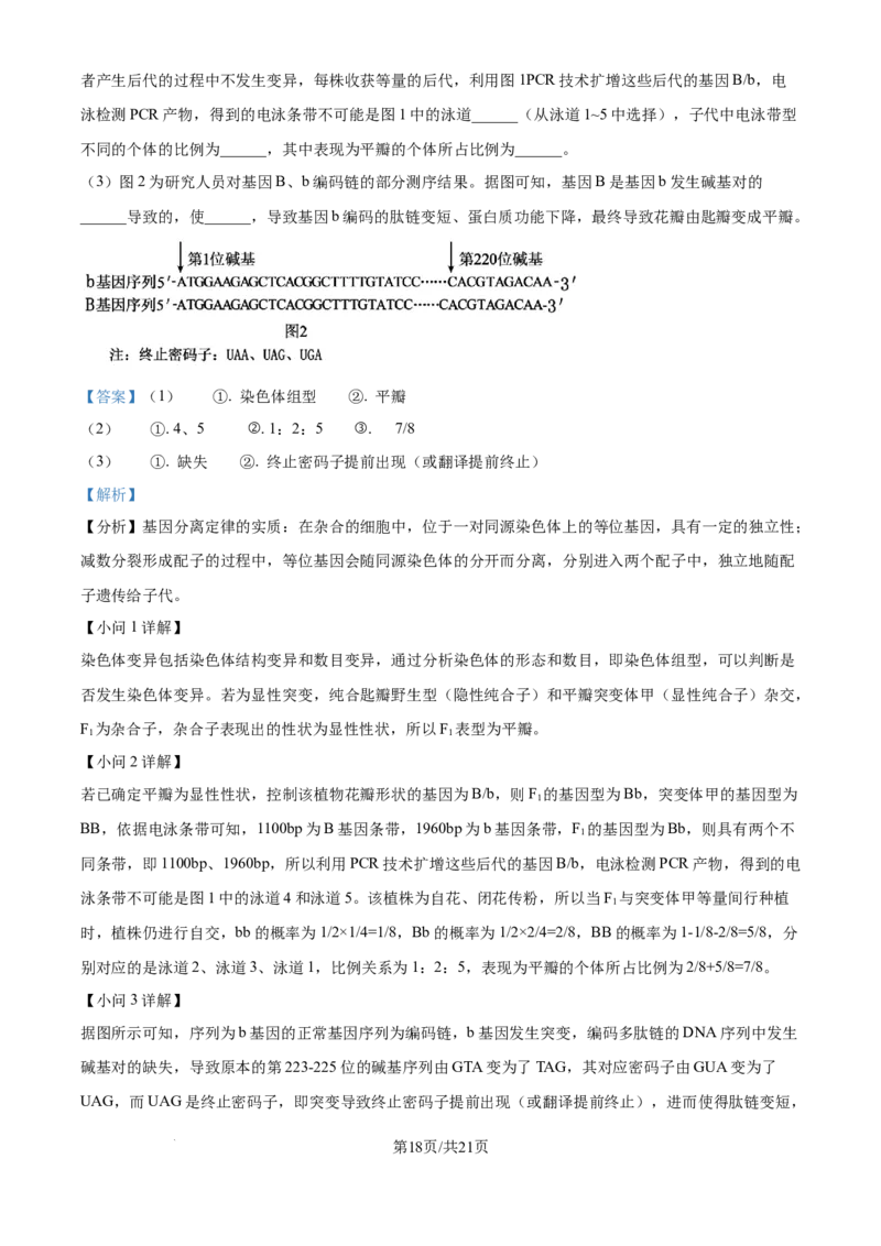 山西省太原市山西大学附属中学校2024-2025学年高三下学期3月月考生物答案_2025年3月_250331山西省太原市山西大学附属中学校2024-2025学年高三下学期3月月考
