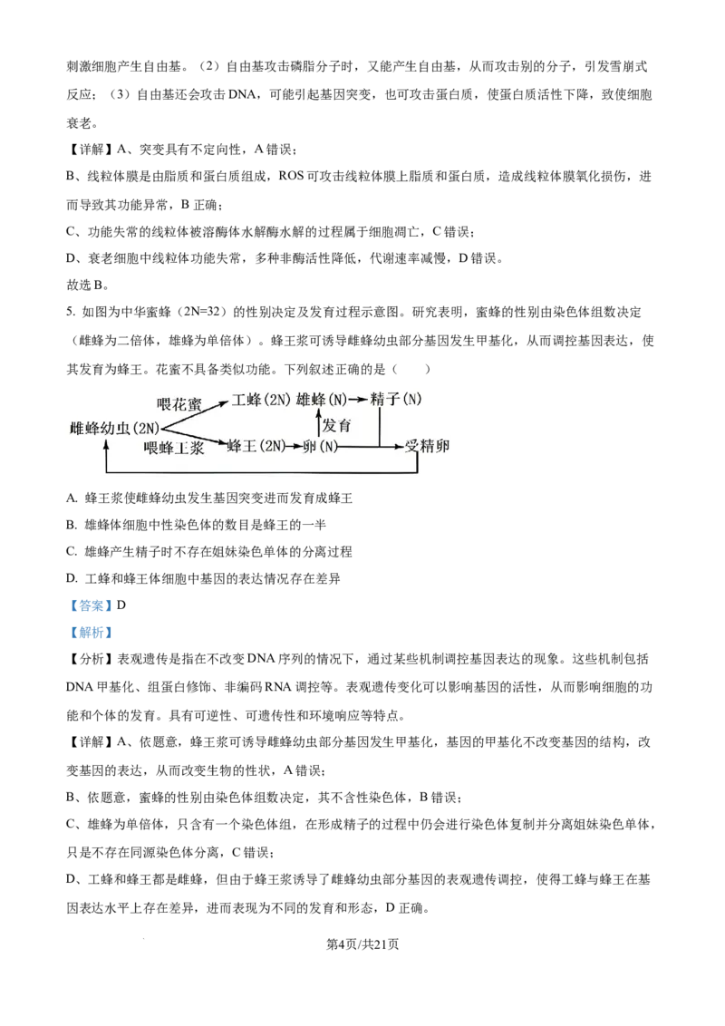 山西省太原市山西大学附属中学校2024-2025学年高三下学期3月月考生物答案_2025年3月_250331山西省太原市山西大学附属中学校2024-2025学年高三下学期3月月考