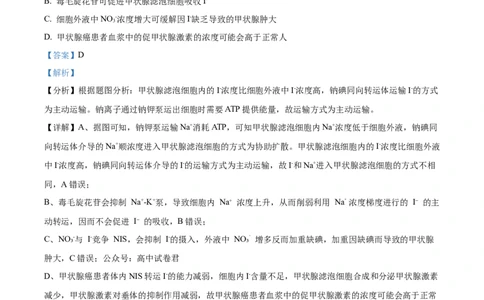山西省太原市山西大学附属中学校2024-2025学年高三下学期3月月考生物答案_2025年3月_250331山西省太原市山西大学附属中学校2024-2025学年高三下学期3月月考