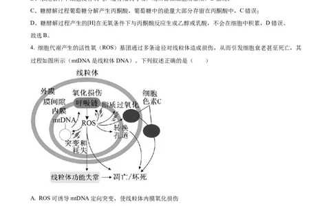 山西省太原市山西大学附属中学校2024-2025学年高三下学期3月月考生物答案_2025年3月_250331山西省太原市山西大学附属中学校2024-2025学年高三下学期3月月考