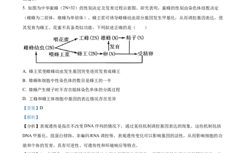 山西省太原市山西大学附属中学校2024-2025学年高三下学期3月月考生物答案_2025年3月_250331山西省太原市山西大学附属中学校2024-2025学年高三下学期3月月考