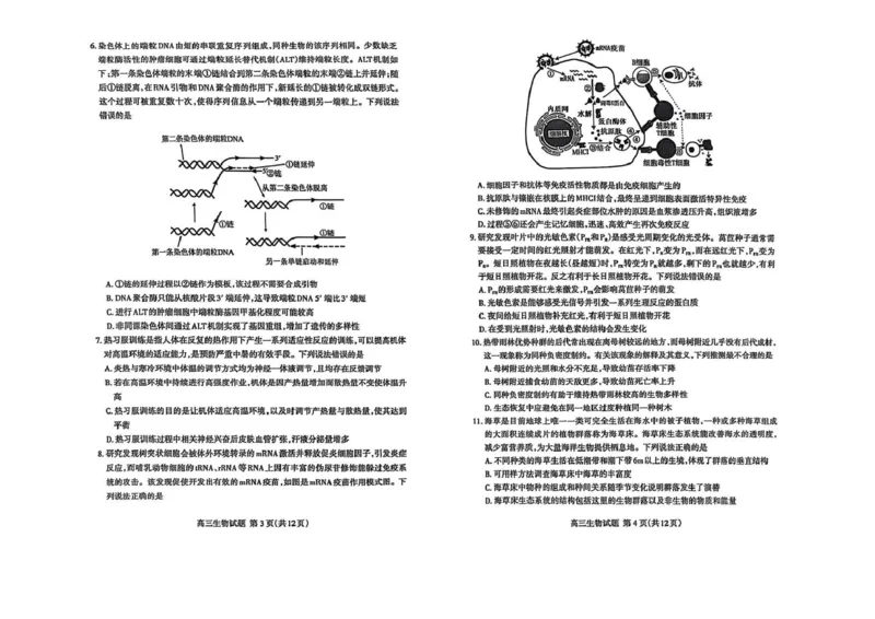 生物试题_2025年4月_250428山东省泰安市2025届高三二轮模拟检测考试（泰安二模）（全科）