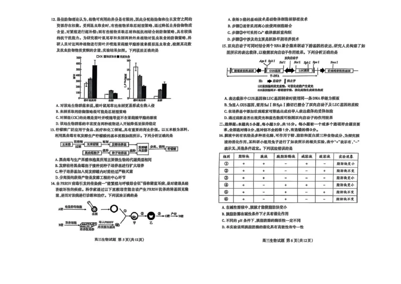生物试题_2025年4月_250428山东省泰安市2025届高三二轮模拟检测考试（泰安二模）（全科）